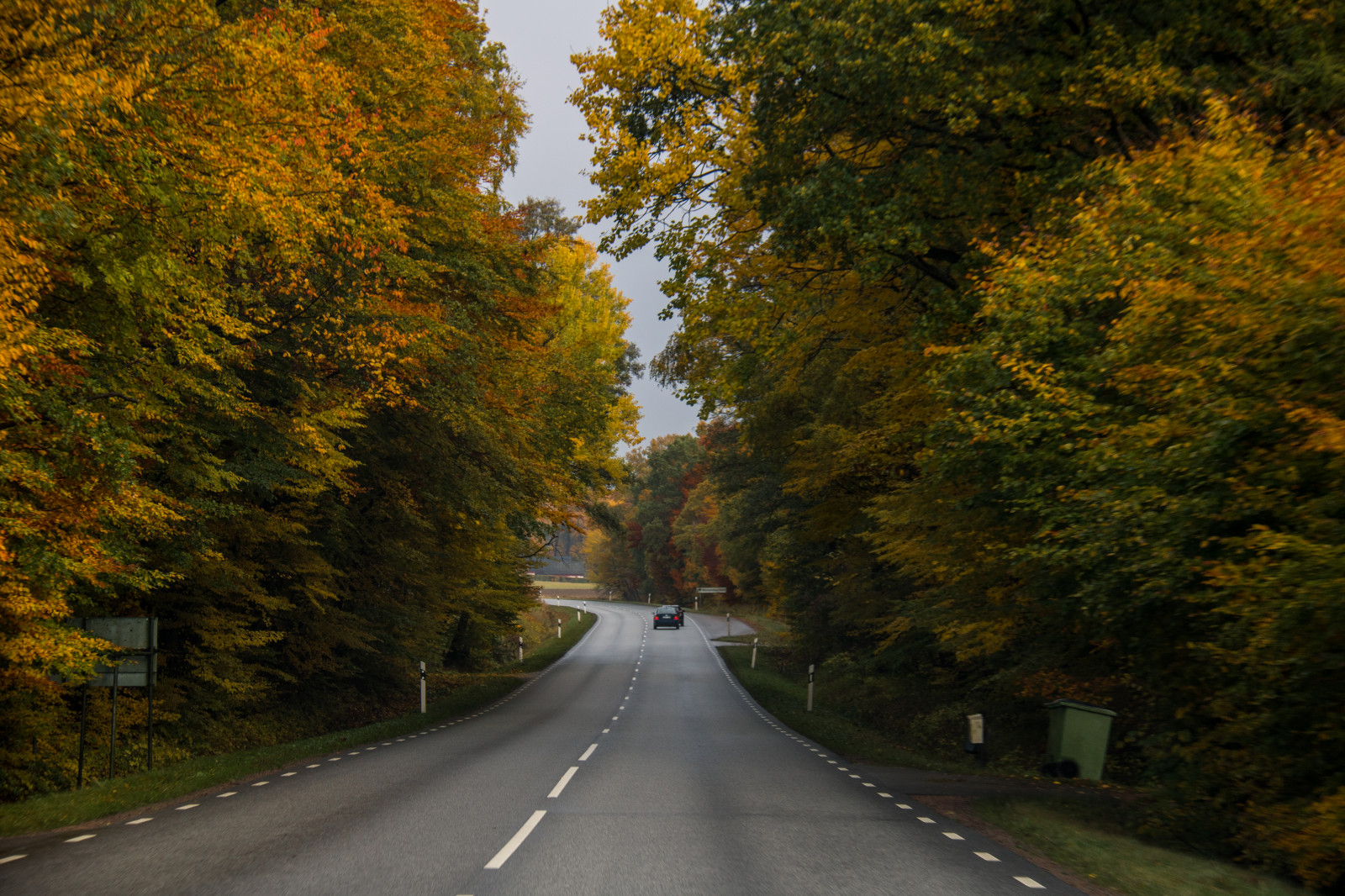 silnice, ráno, Dálnice, infrastruktura, strom, podzim, list, rostlina, sezóna, h st, v g, pruh, dřevina