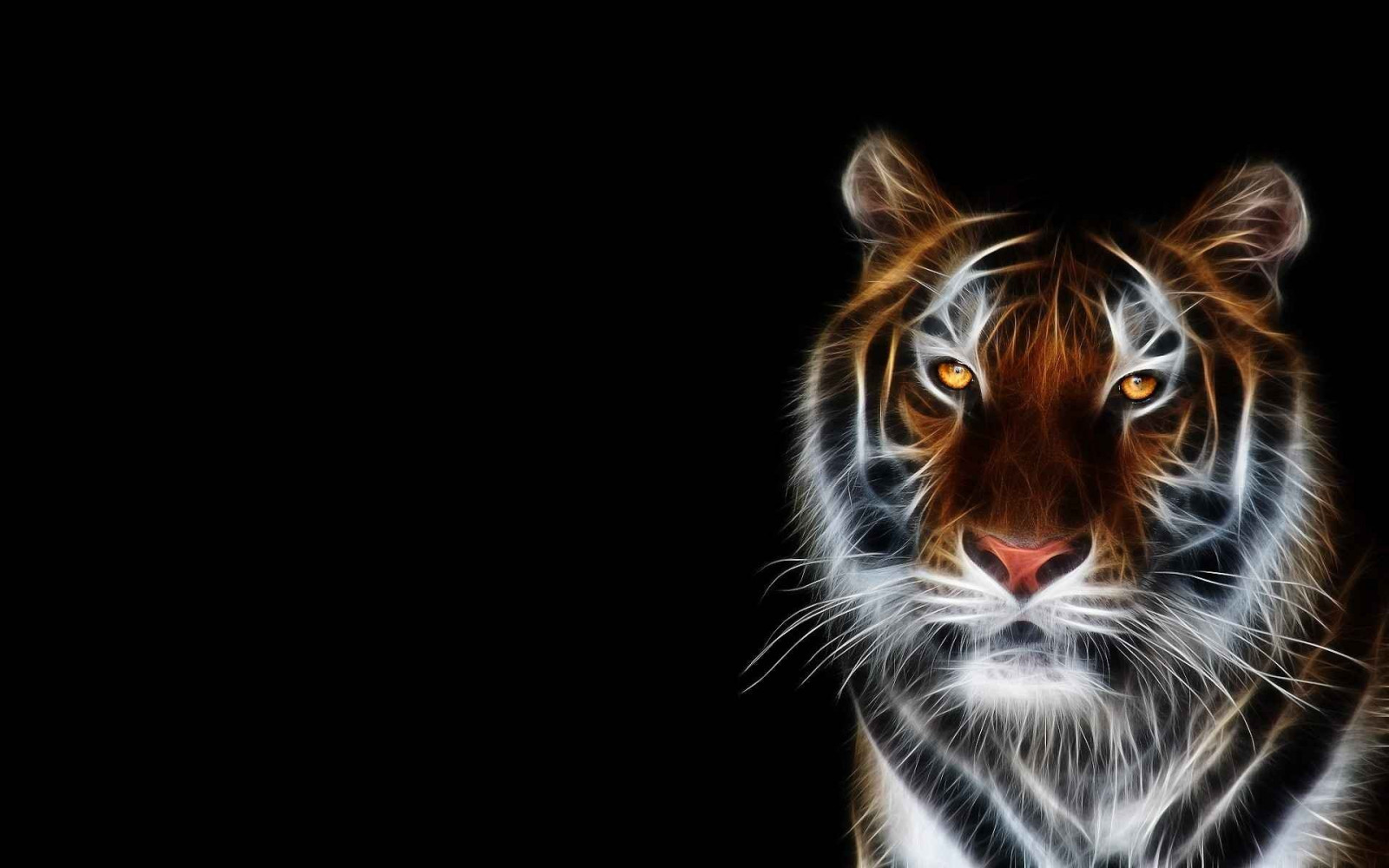 1920x1200 px, tiger