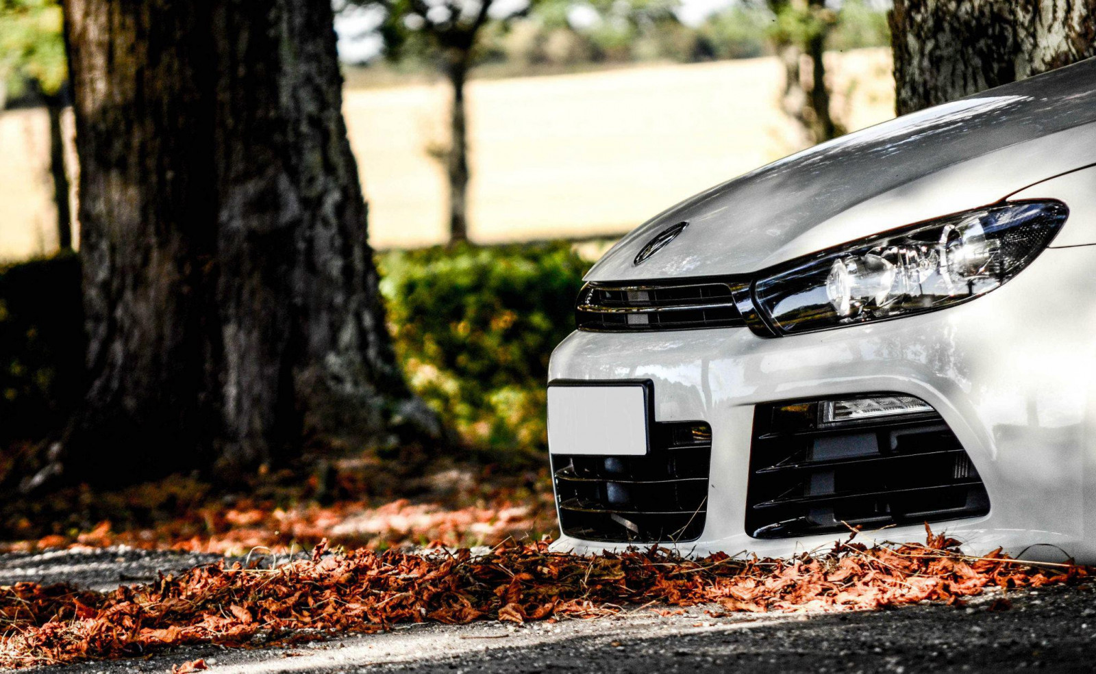 Bäume, Blätter, Weiß, Auto, Fahrzeug, Volkswagen, Weiße Autos, Rad, Landfahrzeug, Automobil-Design, Automotive außen, Automobil machen, Stoßstange