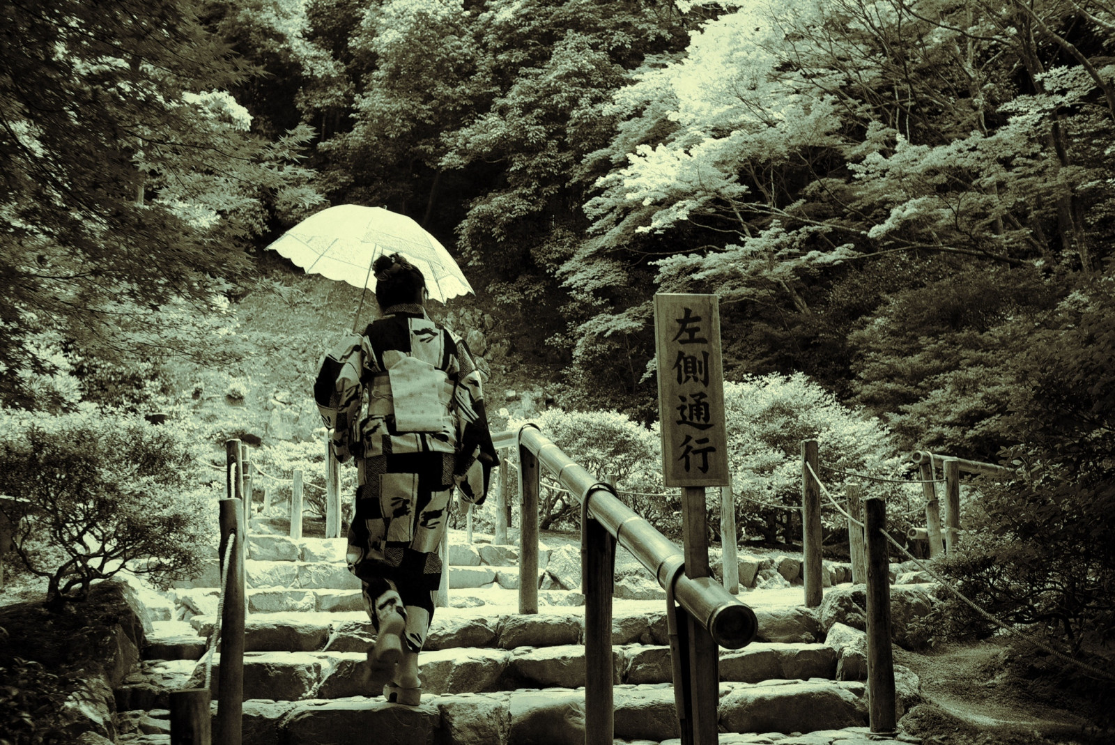 Japonsko, krajina, les, černobílý, voda, Příroda, fotografování, japonský, džungle, cesta, Leica, stříbrný, deštný prales, MM, Kyoto, gejša, strom, list, tradiční, rostlina, dívka, flóra, oblečení, X1, 36, argent, Japon, zálesí, Černý a bílý, monochromatické fotografování, Ji, altán, Ginkakuji, Ginkaku