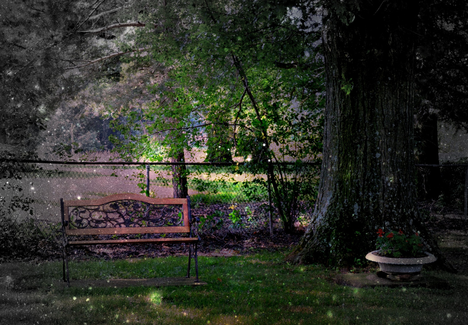 slunečnímu záření, stromy, krajina, les, květiny, noc, voda, Příroda, odraz, tráva, nebe, park, větev, zelená, večer, ráno, lavice, plot, jaro, květináč, světlušky, Ohio, strom, podzim, list, rostlina, zábava, jiskřivý, tma, letního, zálesí, háj, Lavička v parku, Rozmar