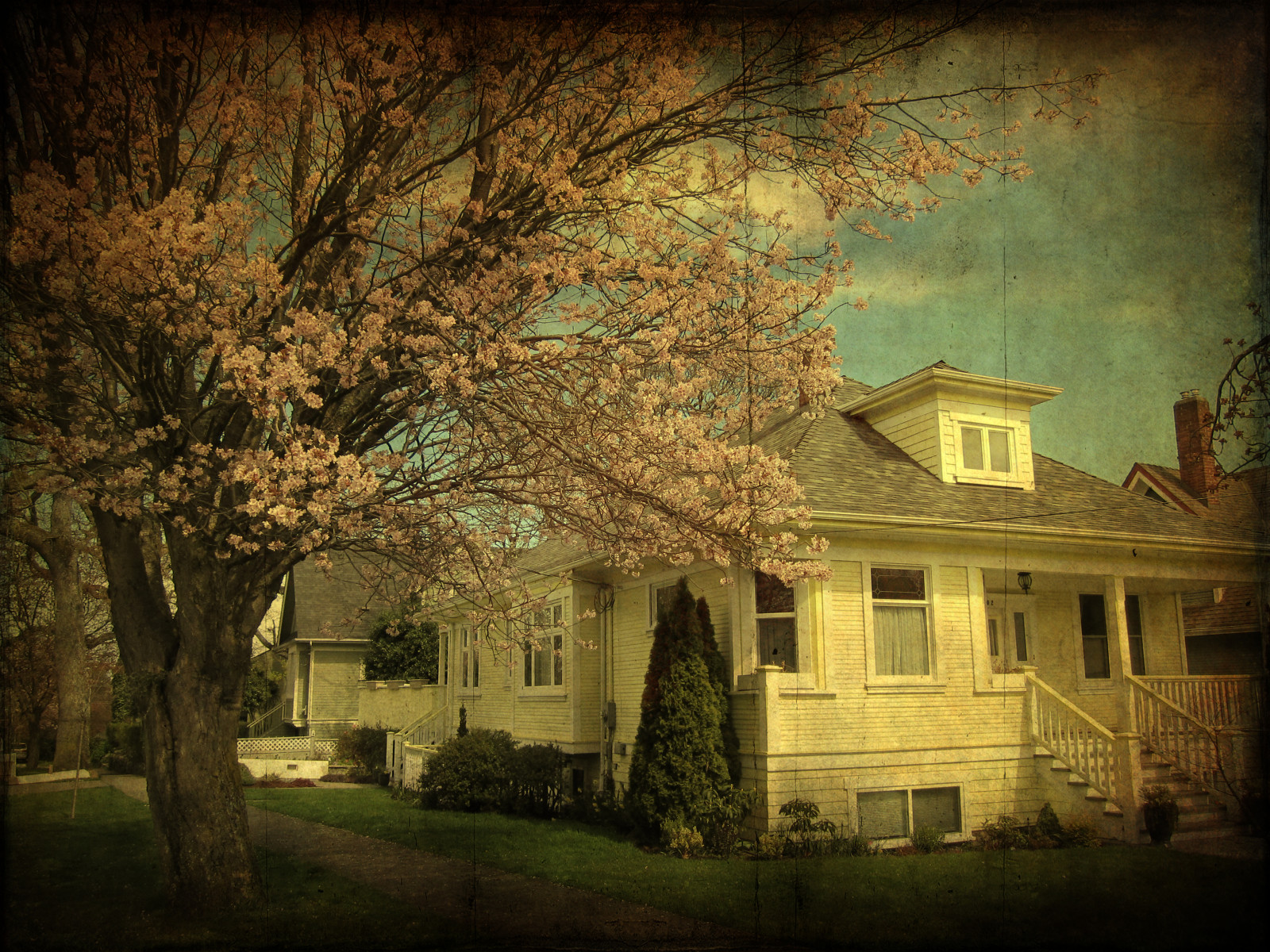 Wallpaper sunlight, landscape, painting, window, night, nature