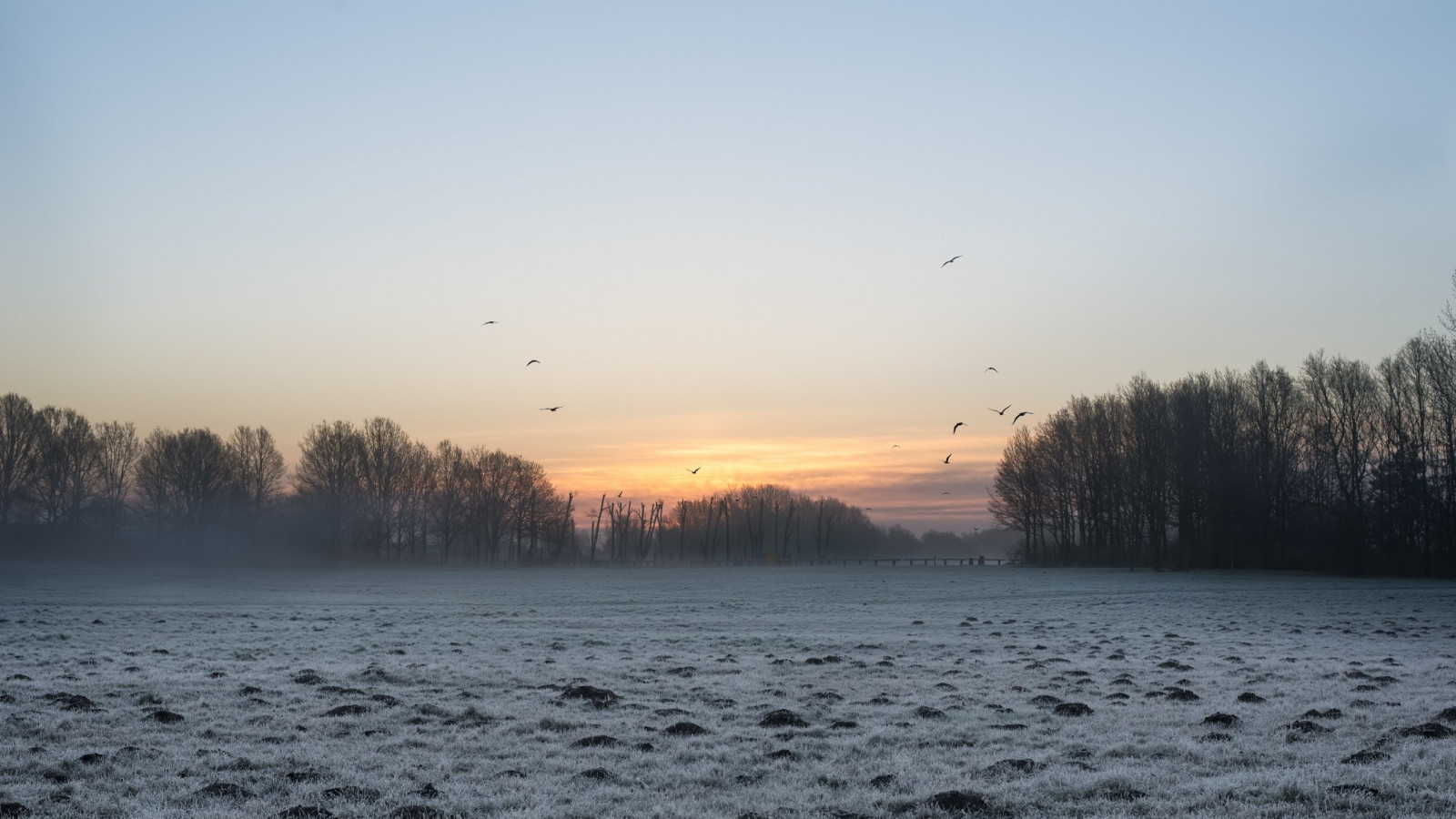 แสงแดด, แนวนอน, พระอาทิตย์ตก, ทะเล, ทะเลสาบ, ธรรมชาติ, ฝั่ง, การสะท้อน, ท้องฟ้า, หิมะ, ฤดูหนาว, พระอาทิตย์ขึ้น, ตอนเย็น, เช้า, หมอก, น้ำค้างแข็ง, แม่น้ำ, ดวงอาทิตย์, ขอบฟ้า, พลบค่ำ, เมฆ, สภาพอากาศ, รุ่งอรุณ, ฤดู, ปรากฏการณ์บรรยากาศ