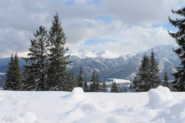 mountains,snow,Tatra Mountains,Carpathians