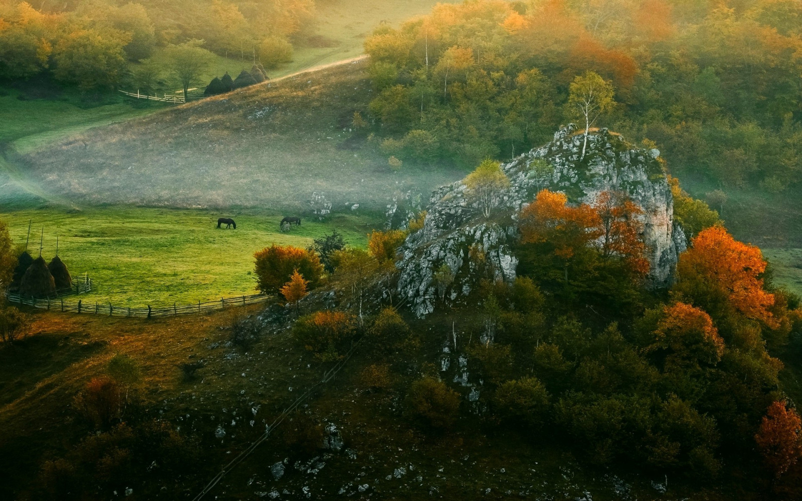 luce del sole, alberi, paesaggio, foresta, autunno, collina, roccia, natura, riflessione, cavallo, erba, Alba, Romania, sera, mattina, nebbia, capanna, recinto, natura selvaggia, nube, albero, autunno, foglia, montagna, fiore, alba, stagione, prato, 1920x1200 px, bosco, area rurale, habitat, fenomeno atmosferico, sfondo del computer, pianta legnosa