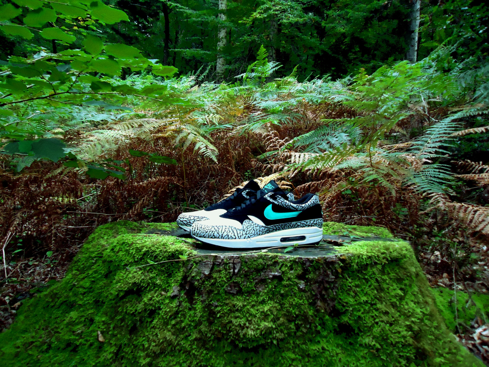 blå, bjerg, elefant, Max, Skov, Print, grå, en, 1, krikand, luft, cement, Nike, Safari, supreme, AM1, Atmos