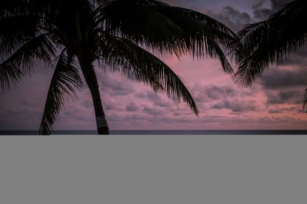 sunset,sea,ocean,summer,beach,strand