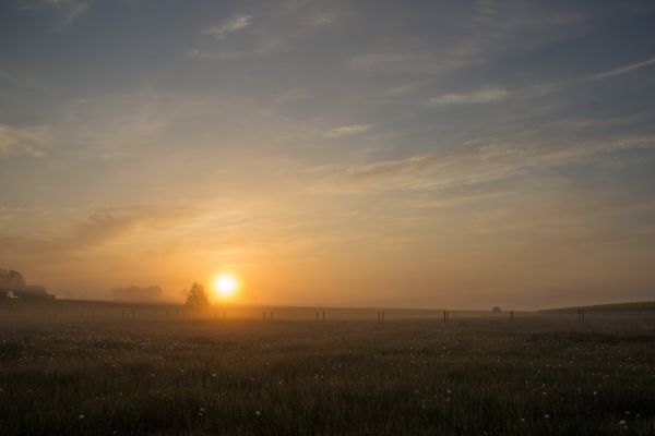 sunlight,sunset,hill,sky,field,sunrise