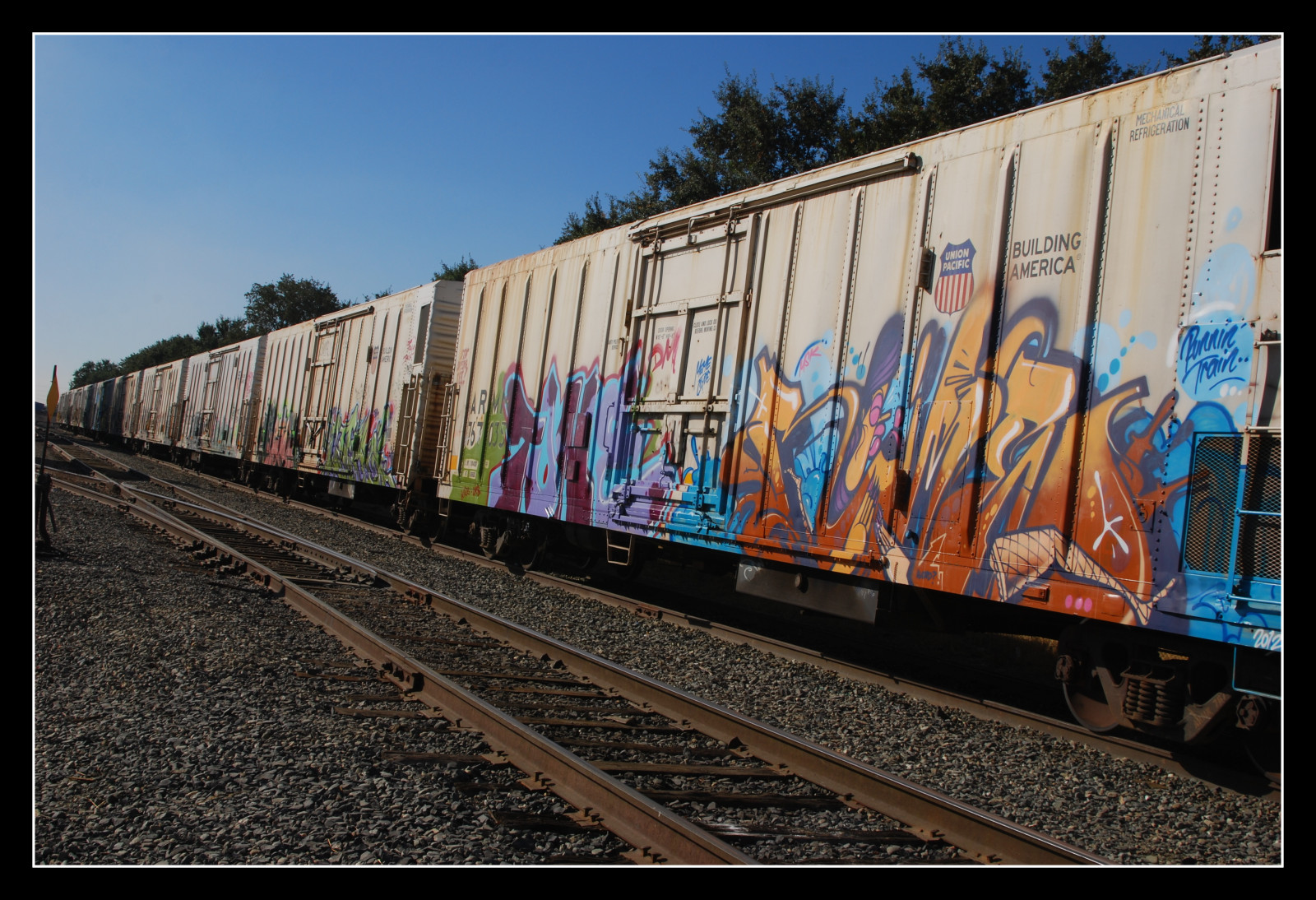 spore, jord køretøj, transportere, rullende materiel, jernbanetransport, tog, jernbanen bil, køretøj, graffiti, træ, offentlig transport, himmel, lokomotiv, last, vægmaleri, rapid transit