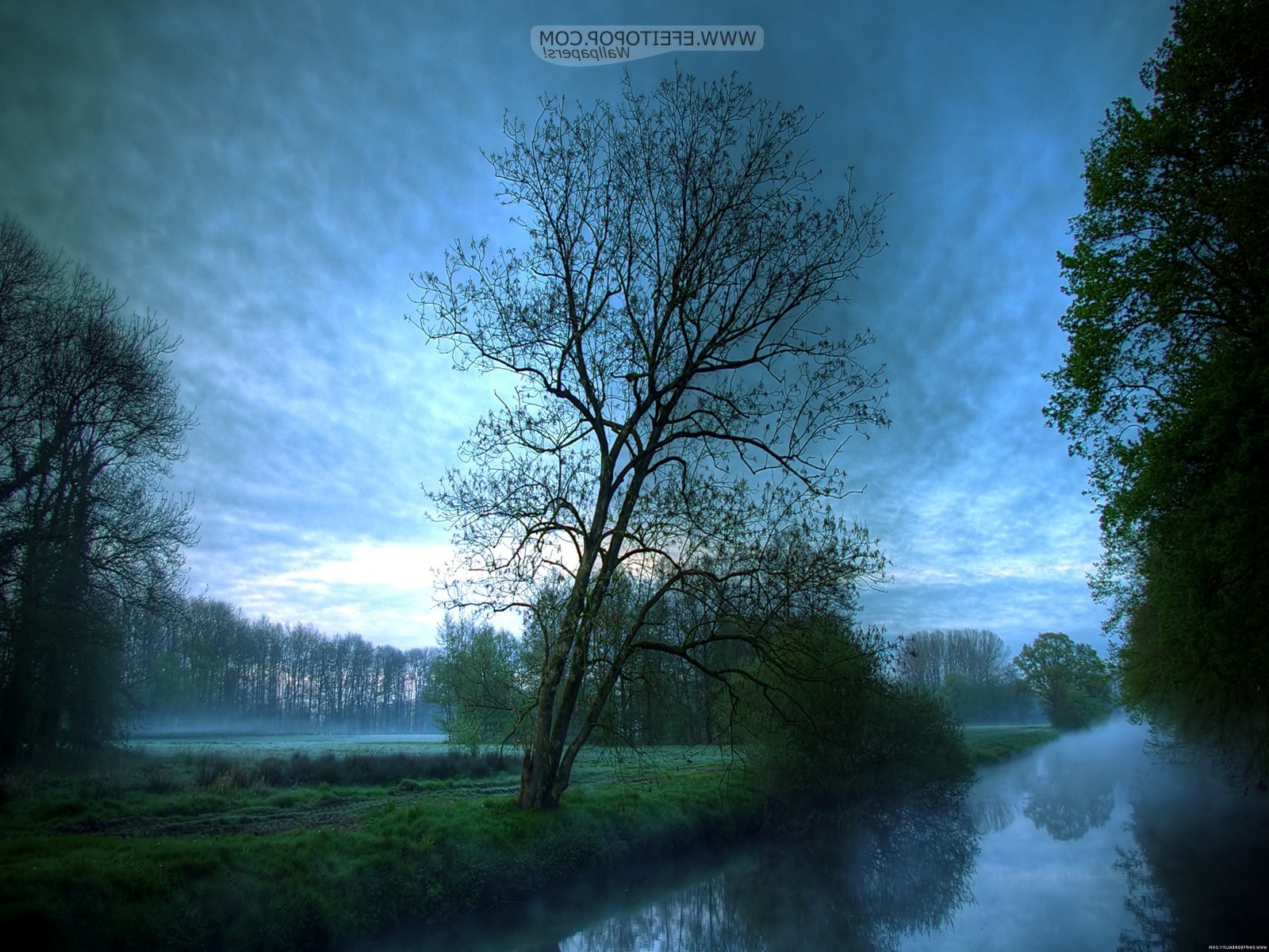 sollys, træer, landskab, Skov, vand, natur, afspejling, himmel, solopgang, morgen, tåge, måneskin, atmosfære, Sky, træ, efterår, tåge, vejr, daggry, plante, 1600x1200 px, skov, levested, naturligt miljø, atmosfærisk fænomen, computer tapet, vedplante