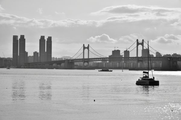Busan,building,monochrome