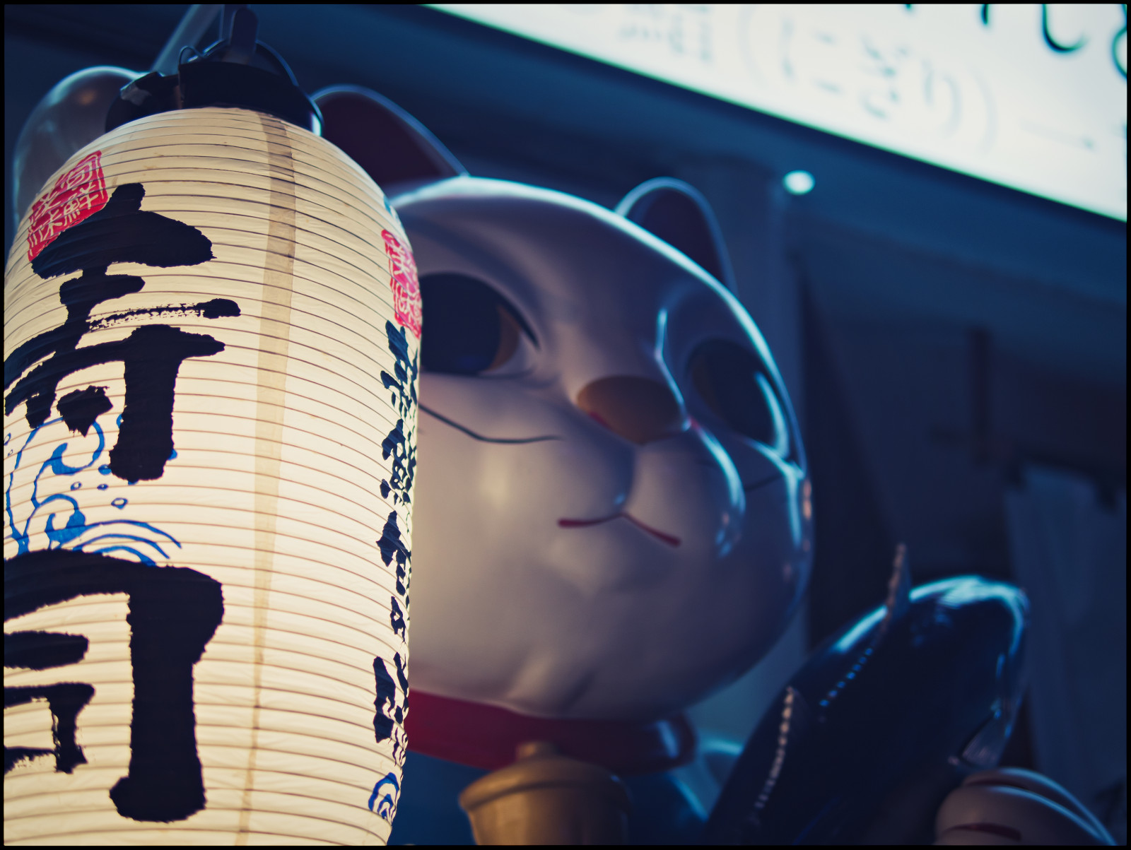 modrý, chladný, brýle, UMĚNÍ, vision care, brýlí, dívka, zábava, grafika, font, ilustrace