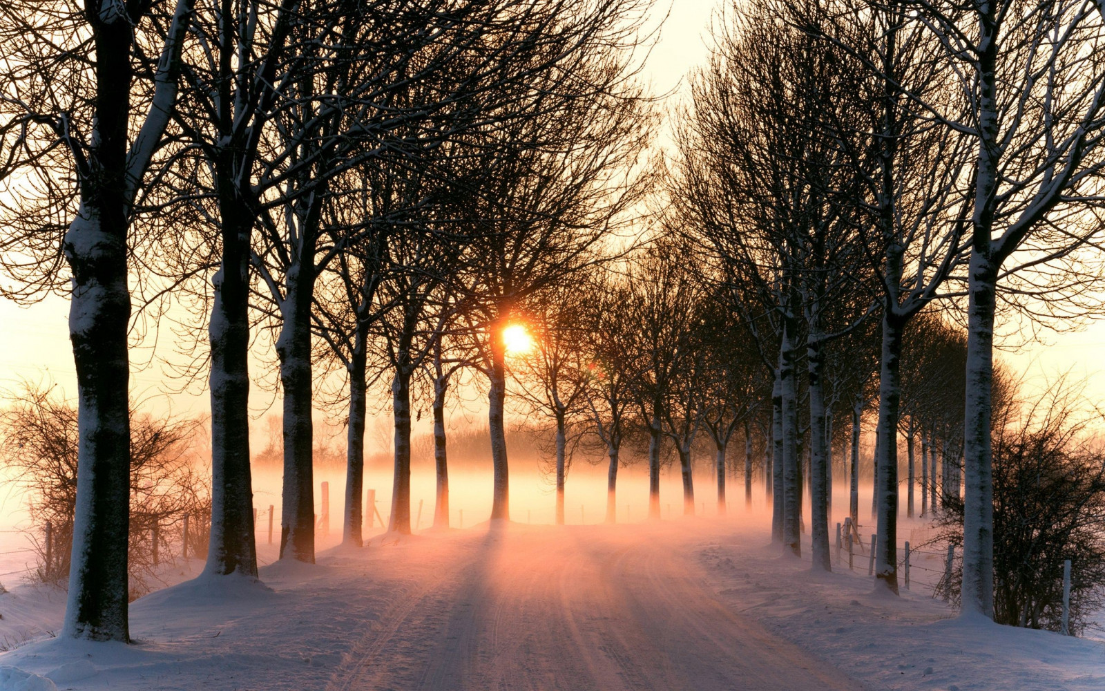 Sonnenlicht, Wald, Sonnenuntergang, Natur, Schnee, Winter, Straße, Ast, Sonnenaufgang, Abend, Morgen, Nebel, Frost, Dämmerung, Einfrieren, Licht, Baum, Herbst, Wetter, Dämmerung, Pflanze, Jahreszeit, Atmosphärisches Phänomen, Holzige Pflanze