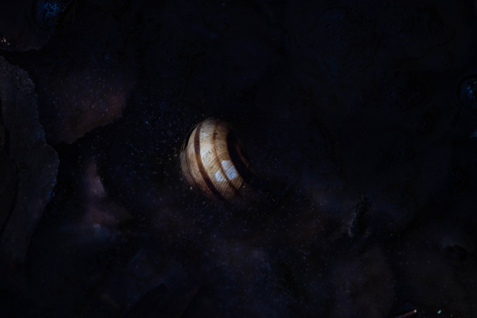 oggetto astronomico, legna, stella, scienza, spazio, astronomia, cerchio, blu elettrico, universo, evento celeste, spazio, oscurità, metallo, lampadina, mezzanotte, galassia, ARTE, soffitto, cielo, sfera, pianeta, notte, modello, lampada, spirale