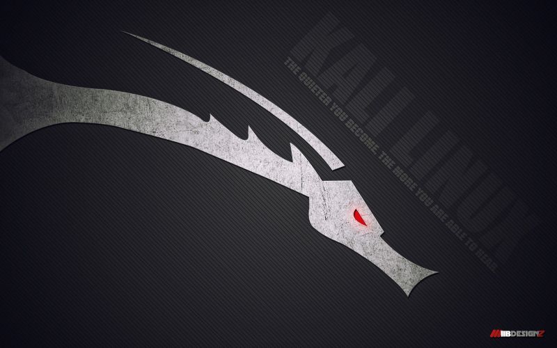 1920x1200 piksel,GNU,Kali Linux,Kali Linux NetHunter,Linux