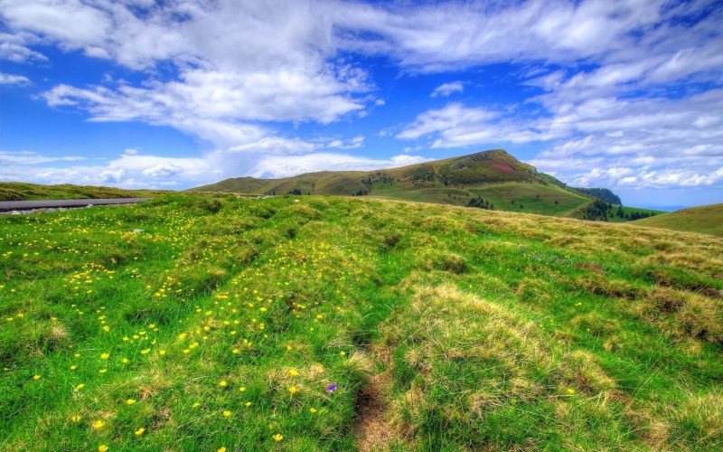 landscape, hill, grass, sky, field, horizon landscape, hill, grass, sky, field, horizon