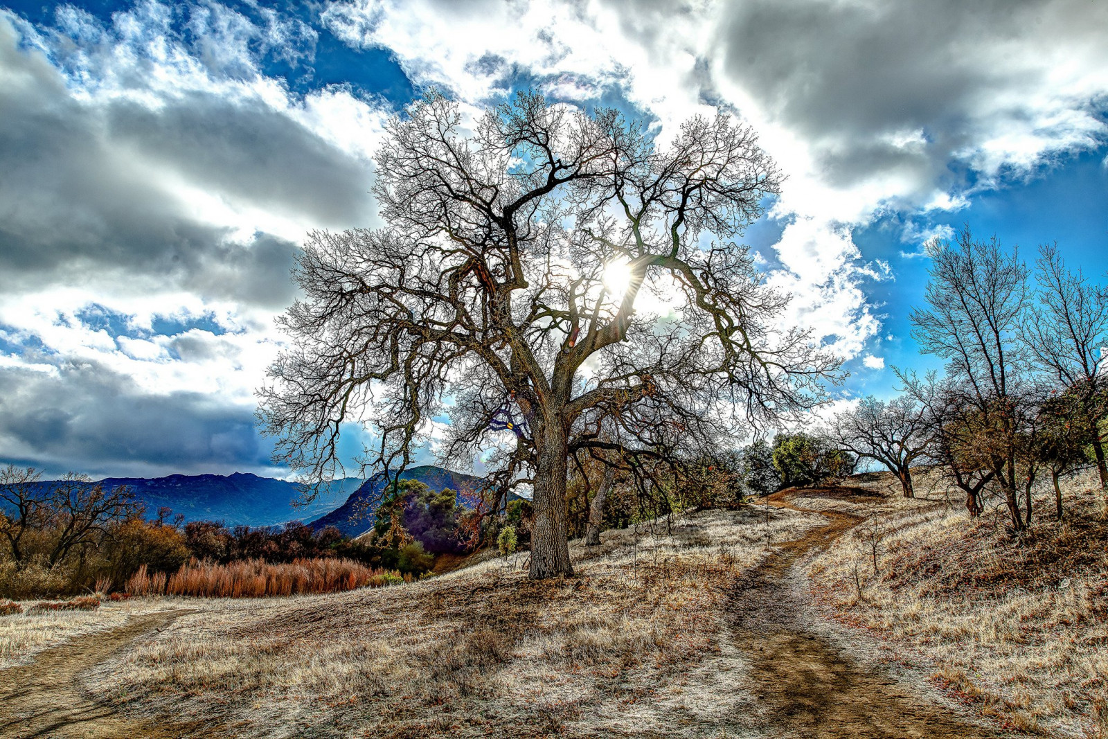 2048x1367 px, angeles, ARTE, spiaggia, barche, ponti, centro, Guidare, autostrada senza pedaggio, Griffith, Hollywood, los, Marina, Monica, natura, Newport, osservatorio, Oscar, molo, rodeo, Santa, mare, Studio, tramonto, universale, Venezia