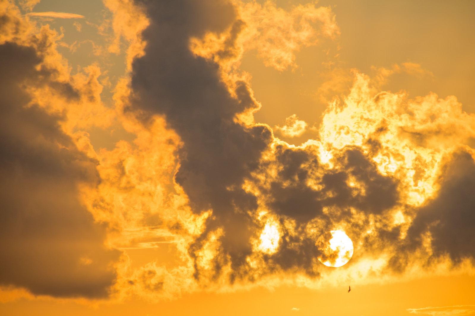 luce del sole, paesaggio, tramonto, cielo, campo, Alba, sera, mattina, Sole, orizzonte, atmosfera, crepuscolo, nube, alba, himmel, solnedg ng, campagna, moln, landsbygd, s dersl TT, Landskap, modello canoneos760d exif, geocountry, Marca fotocamera Canon, Geocity, modello di fotocamera canoneos760d, geostate, geolocalizzazione, Lente exif efs18200mmf3556is, exif focalLength 200 millimetri, exif fare canon, exif ISOSPEED 100, apertura exif 80, ultimi bagliori, oggetto astronomico, cielo rosso al mattino, fenomeno meteorologico, cumulo