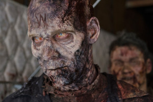 ロシータエスピノサ デスクトップ壁紙 デスクトップ壁紙 Wallhere