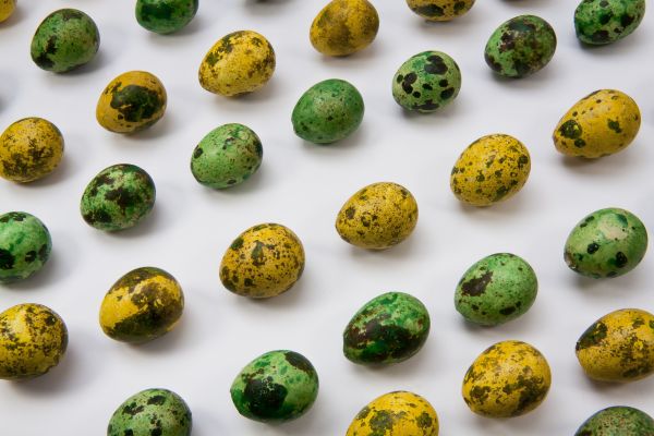 Easter,quail eggs,painted