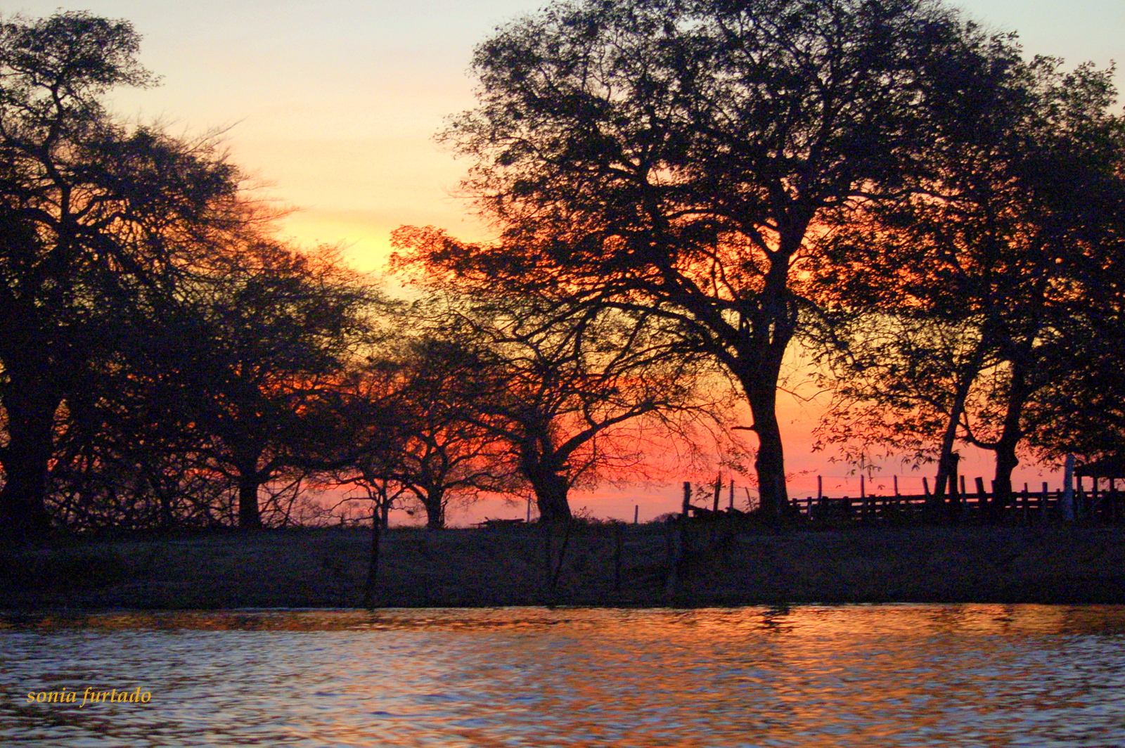slunečnímu záření, krajina, západ slunce, jezero, voda, Příroda, odraz, nebe, větev, svítání, večer, ráno, řeka, slunce, horizont, soumrak, Brazílie, banka, Brasil, slunce, mokřadní, mrak, strom, list, svítání, rostlina, contraluz, bayou, počítač tapeta, vodní, odlesk, dřevina, červená obloha v dopoledních hodinách, quartasunset, rioclaro, silhuetas, lužní, centrooeste, Pantanal, PDS, Pocon, Nanaturazainnatura