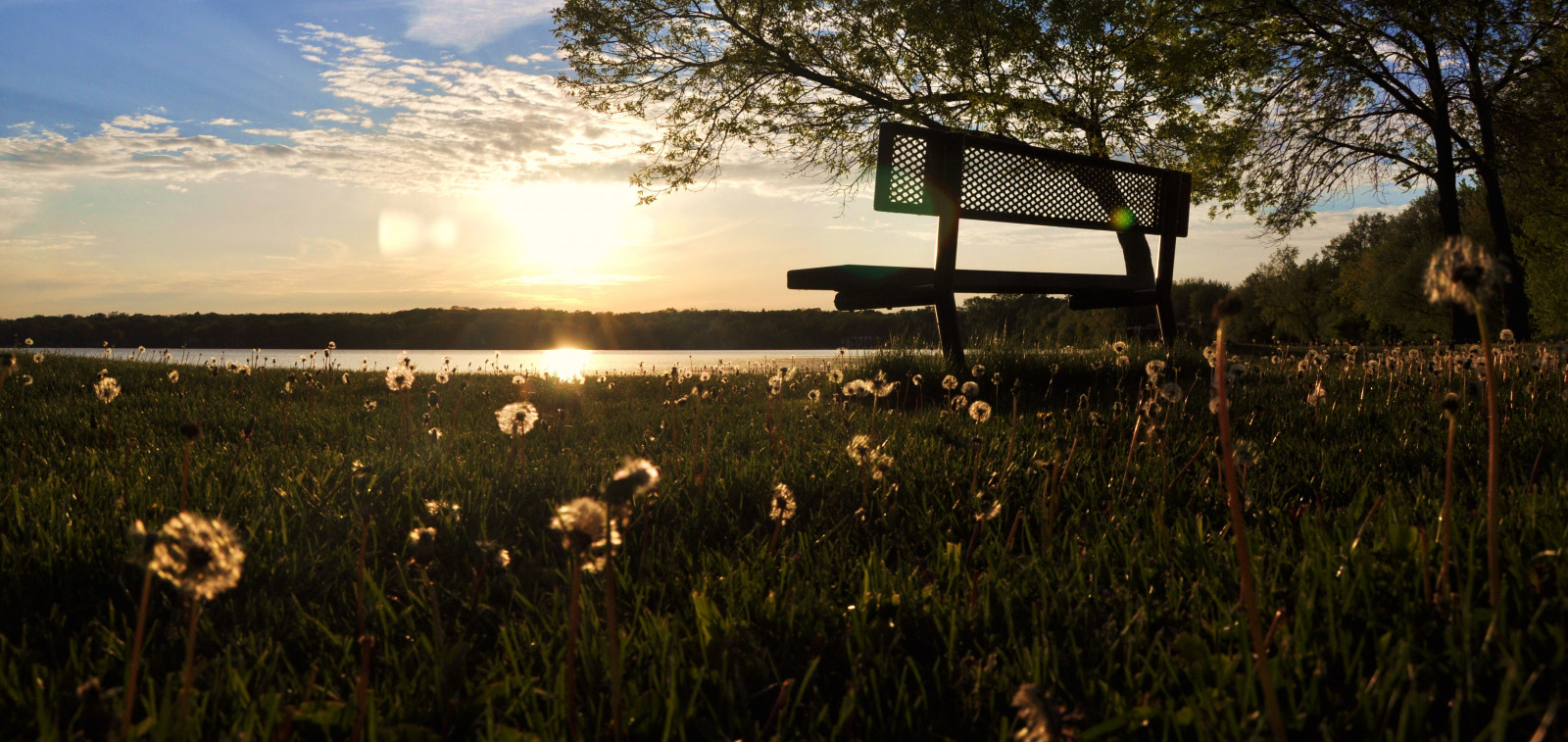 sollys, landskab, solnedgang, vand, afspejling, græs, himmel, Mark, skyer, solopgang, aften, morgen, bænk, Nikon, Illinois, forår, beskåret, Sky, træ, blad, daggry, plante, solnedgange, mælkebøtter, eng, Midtvesten, d90, silhouttes, skyer, prærie, sooc, græs familie, forstæder, Pinoy, perfectsunsetssunrisesandskys, circularpolarizer, setholiver1, forårssæsonen, mchenrycounty, petersonpark, cityofmchenry, lakemccullom
