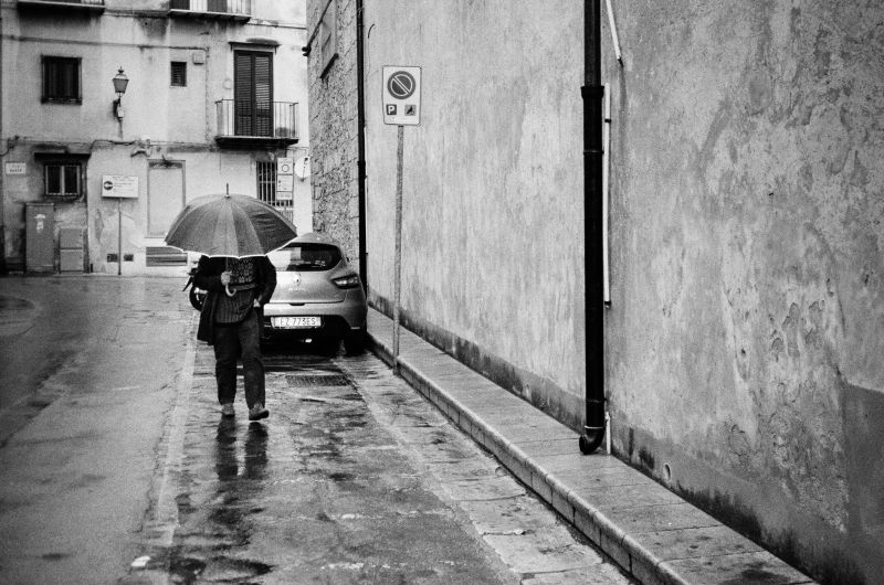 silnice,Černý a bílý,ulice,infrastruktura,alej,pruh