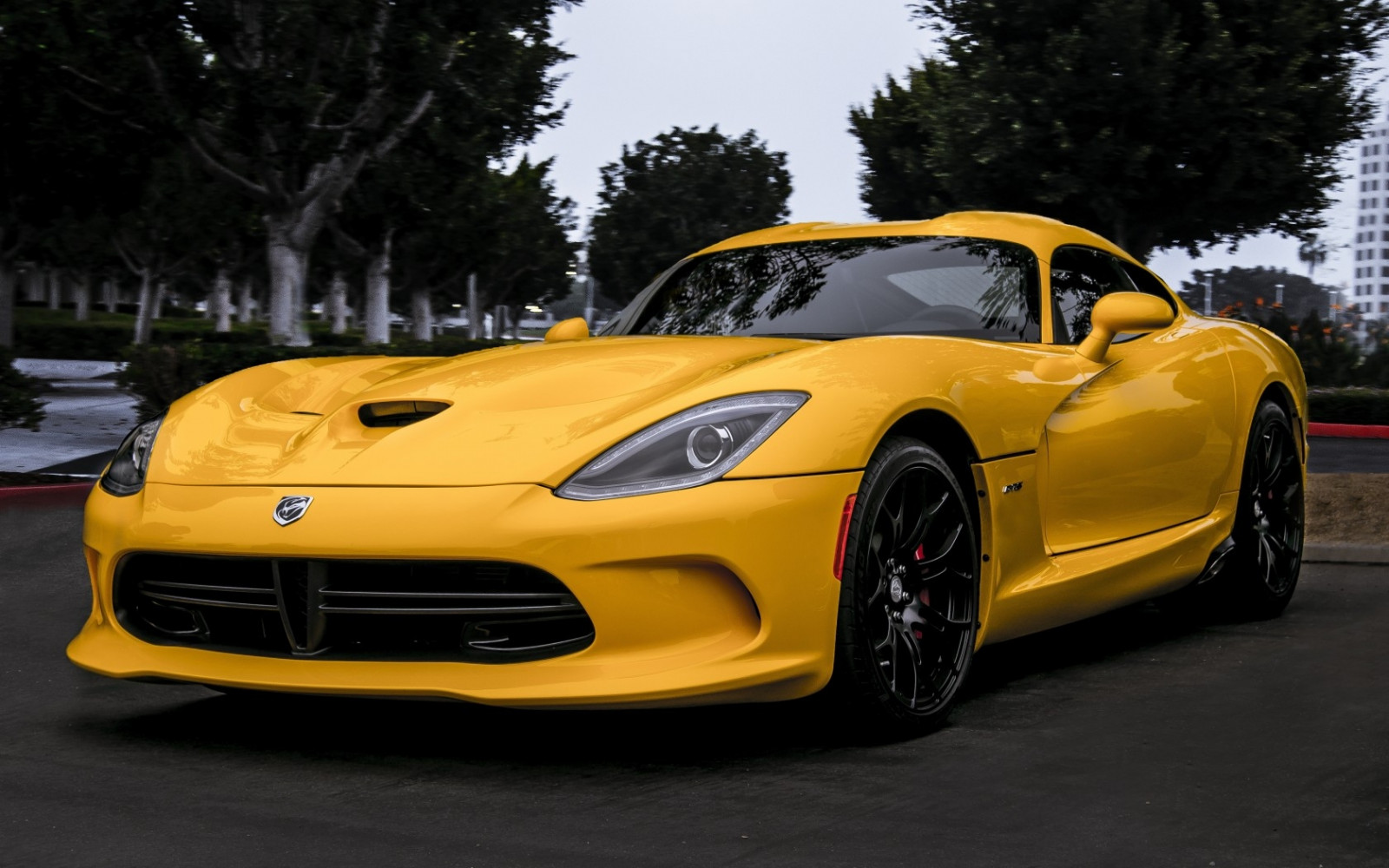 copaci, mașină, vehicul, galben, se eschiva, mașină sport, Dodge Viper, VIPERĂ, masina de performanță, Roată, supercar, vehicul de teren, designul auto, exterior auto, de automobile marca, muscle car, Auto Show, venin de viperă Hennessey 1000 twin turbo, vedere din față