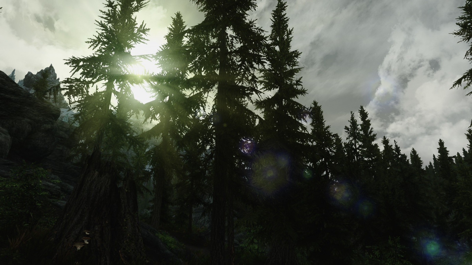 sollys, Skov, computerspil, natur, afspejling, himmel, afdeling, morgen, The Elder Scrolls V Skyrim, jungle, regnskov, lys, træ, mørke, skærmbillede, skov, levested, naturligt miljø, atmosfærisk fænomen, vedplante, geografisk funktion, økosystem