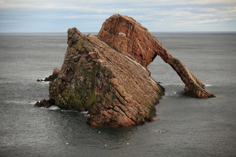 камень,лук,Скрипка,Морские птицы,Portknockie,Мурены