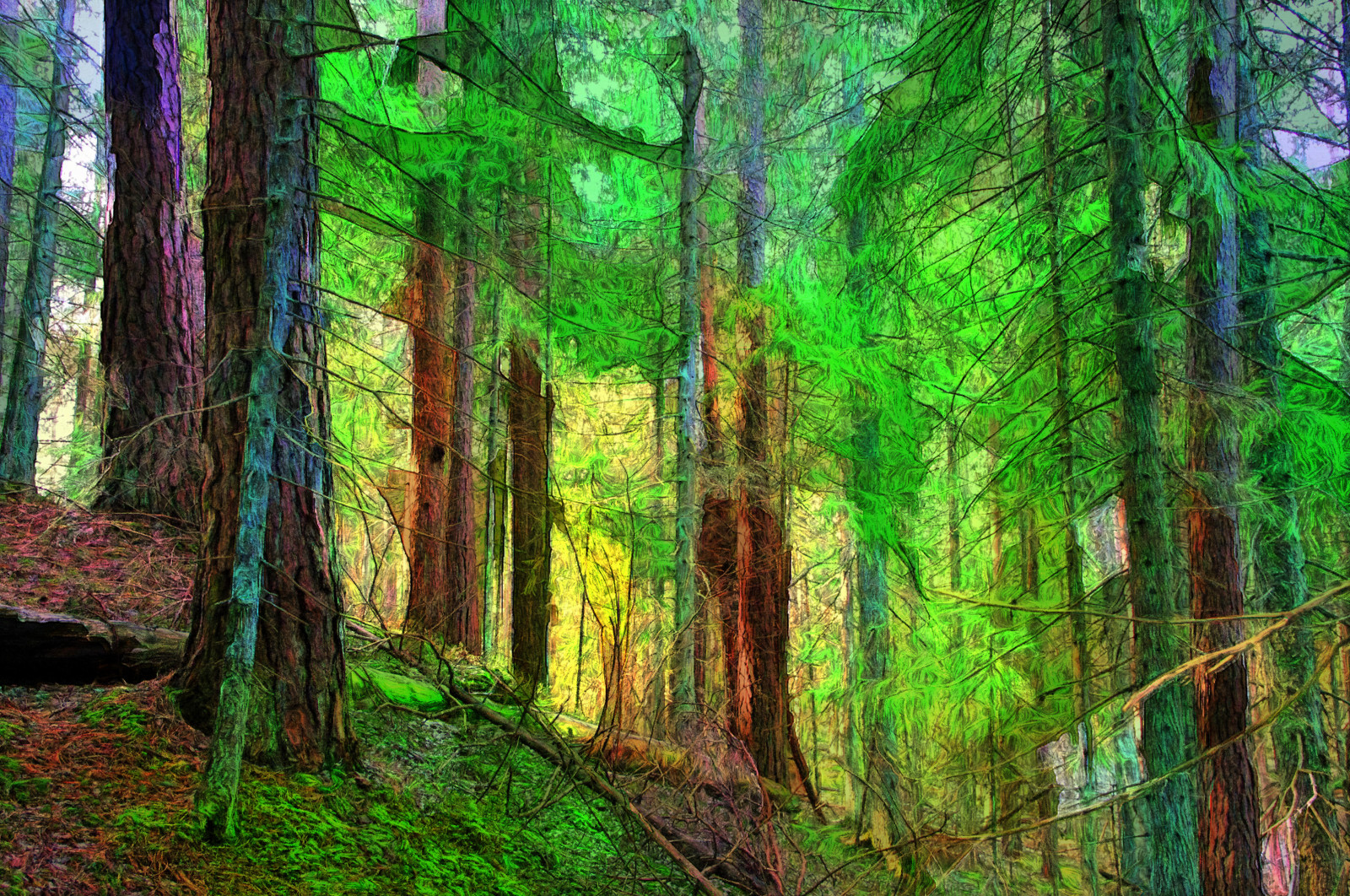 digital, kalevvask, efterbehandlet, Photoshop, billedmanipulation, digiart, PhotoArt, malerisk, kunstnerisk, kreativ, Estland, forår, Skov, topazimpression, dap