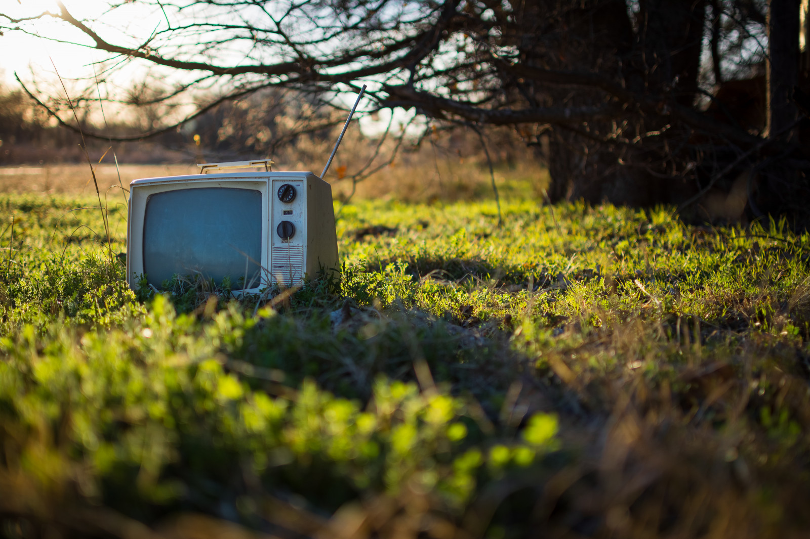 sollys, landskab, solnedgang, natur, by-, forladt, græs, himmel, Mark, grøn, gul, aften, Sol, elektronisk, Nikon, affald, bokeh, fjernsyn, forår, henfald, udforskning, 35MM, sæt, landdistrikterne, Texas, Land, træ, NIKKOR, prime, blad, udforske, plante, tx, eng, D7100, rør, glemt, Boob, græs familie, venstre, urbanexploration, rurex, kasseret, udsende, television, efterladt, kassere