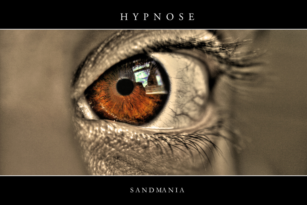 Wallpaper : reflection, brown, texture, world, nose, eyelashes, skin