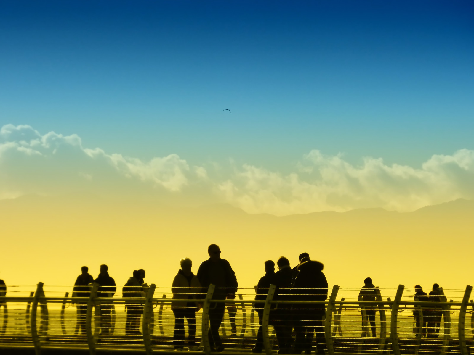 silueta, vancouverisland, victoriabc, ogdenpoint, fz70