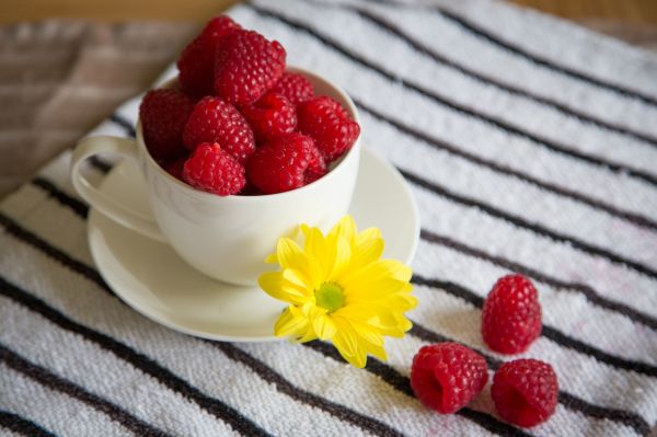 food, red, fruit, strawberries, whipped cream, circle