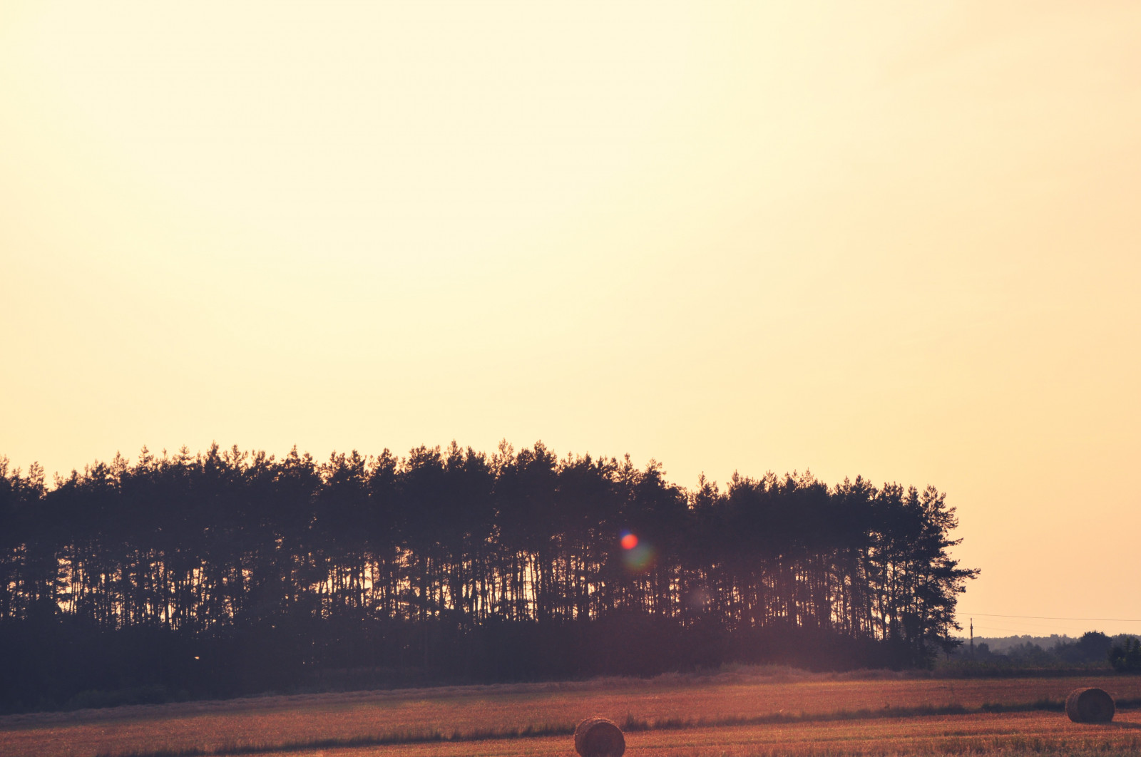 luce del sole, alberi, paesaggio, tramonto, cielo, Alba, orizzonte, sera, mattina, Sole, orizzonte, crepuscolo, foschia, nube, alba, fenomeno atmosferico, atmosfera della terra, ultimi bagliori