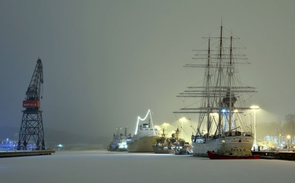 snow,winter,harbour,crane,harbor,boar