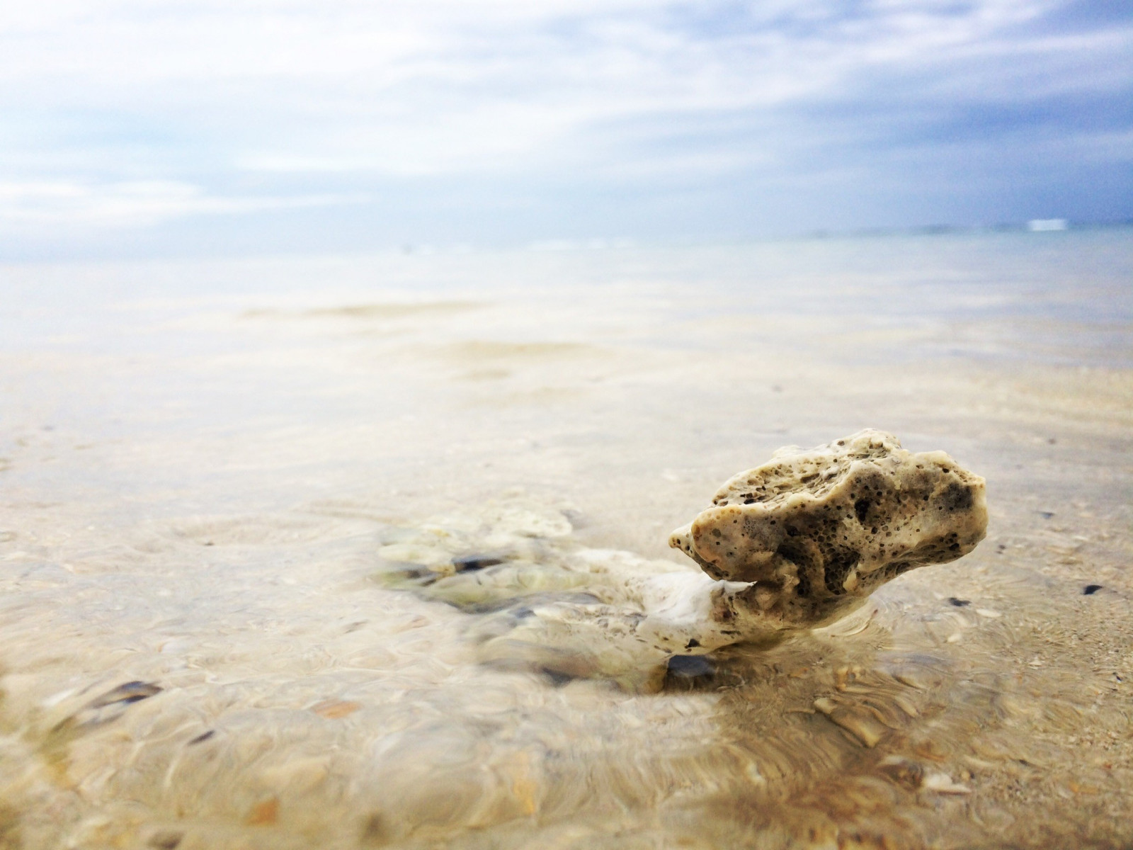 slunečnímu záření, krajina, moře, voda, Skála, Příroda, pobřeží, písek, odraz, pláž, makro, pobřeží, horizont, krabi, mrak, oceán, vlna, materiál, geologie, místo výskytu, přírodní prostředí, landform, tělo z vody
