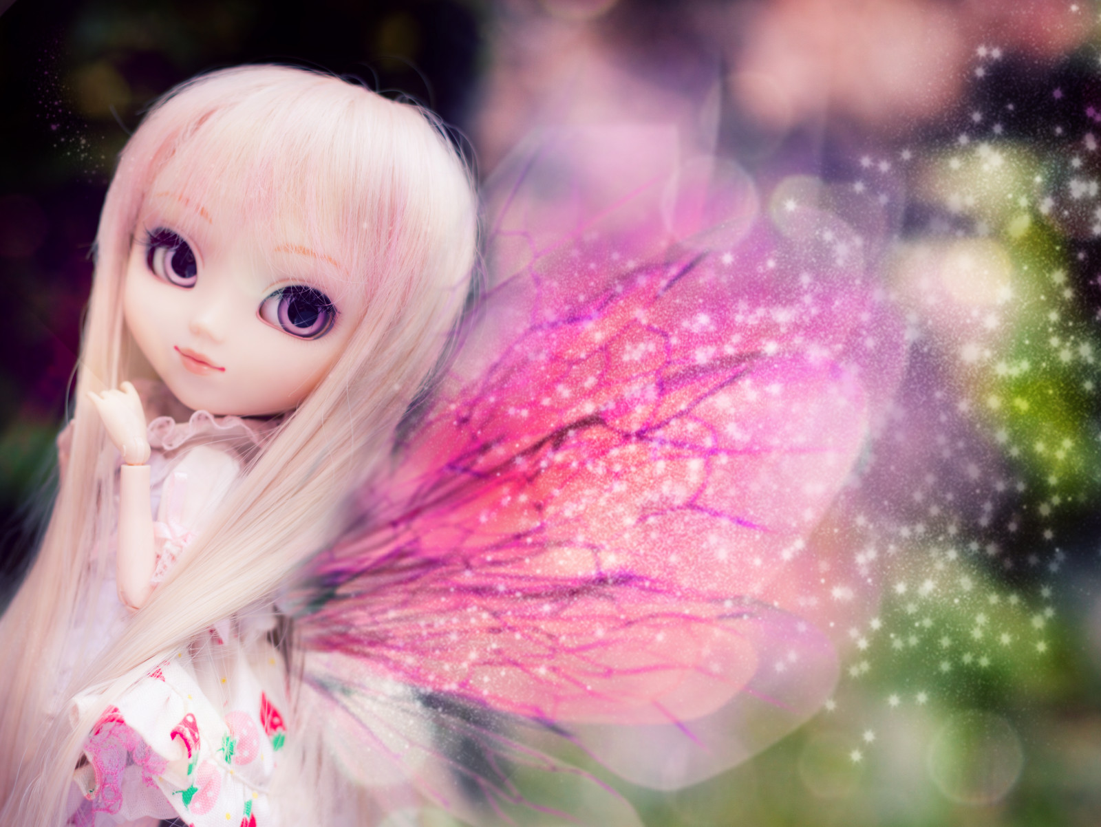 tvář, Japonsko, bílý, černé vlasy, růže, prach, bokeh, víly, růžový, jaro, kůže, panenka, Koťátko, Duhovka, květ, roztomilý, rozkošný, dívka, oko, můj, okvětní lístek, víla, kawaii, omezený, pullip, dal, Taeyang, paruka, Leeke, obitsu, počítač tapeta, člověk barva vlasů, zblízka, řasa, melodie, Ahoj, byul, Sanrio, poupée, Cinnamoroll, cg artwork