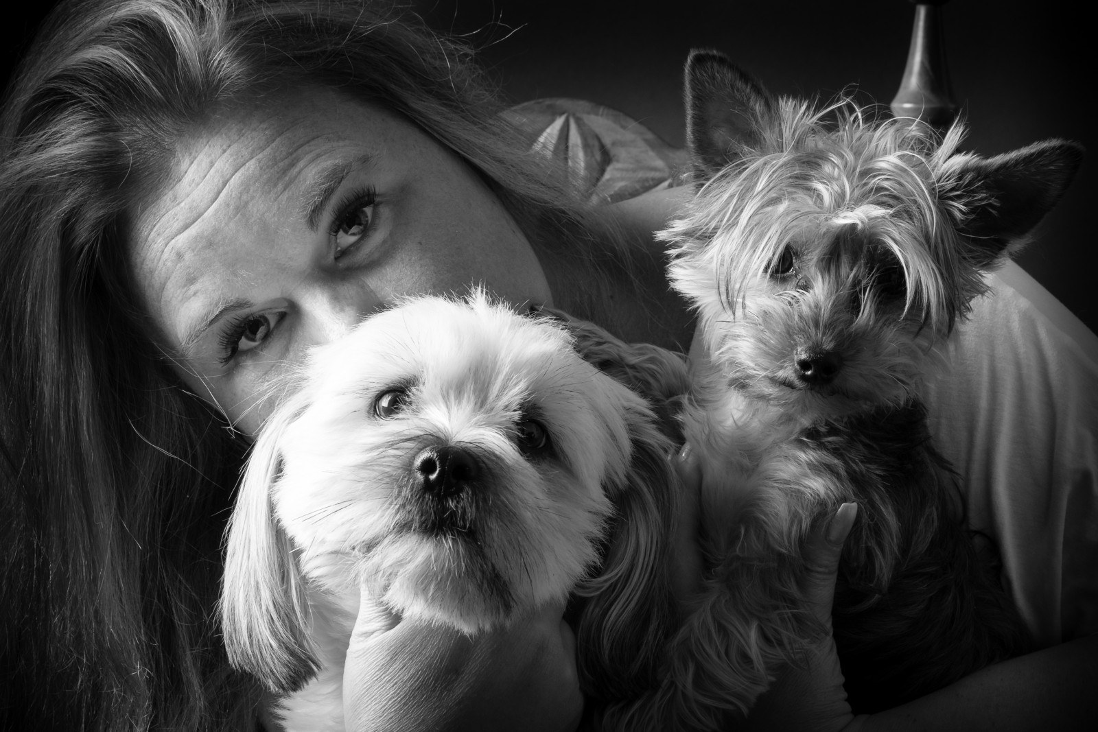 tvář, lidé, bílý, Černá, zvěř, černobílý, portrét, blondýnka, fotografování, Dům, Pes, Sony, Švédsko, Domácí mazlíčci, Studio, švédský, kůže, Gon, Sverige, Ella, Černý a bílý, fullframe, zvíře, dívka, tělesné, dívky, oko, žena, odpočinout si, mujer, se, krytý, Göteborg, g teborg, psík, svartvitt, DJUR, psi, portr tt, kvinna, Zeiss, domů, alfa, 55mm, Frau, krásná žena, moment, savec, biancoenero, femenino, sonya7r2, fullformat, můj domov, Černý a bílý, monochromatické fotografování, pes jako savec, huset, m lndal, normalobjektiv, Schweden, v stkusten, ansiktet, tjej, jessicasteijner, Vacker, v, Jorkšírský teriér, hundar, studiophotography, inomhus, studiolights, mitthem, kroksl tt