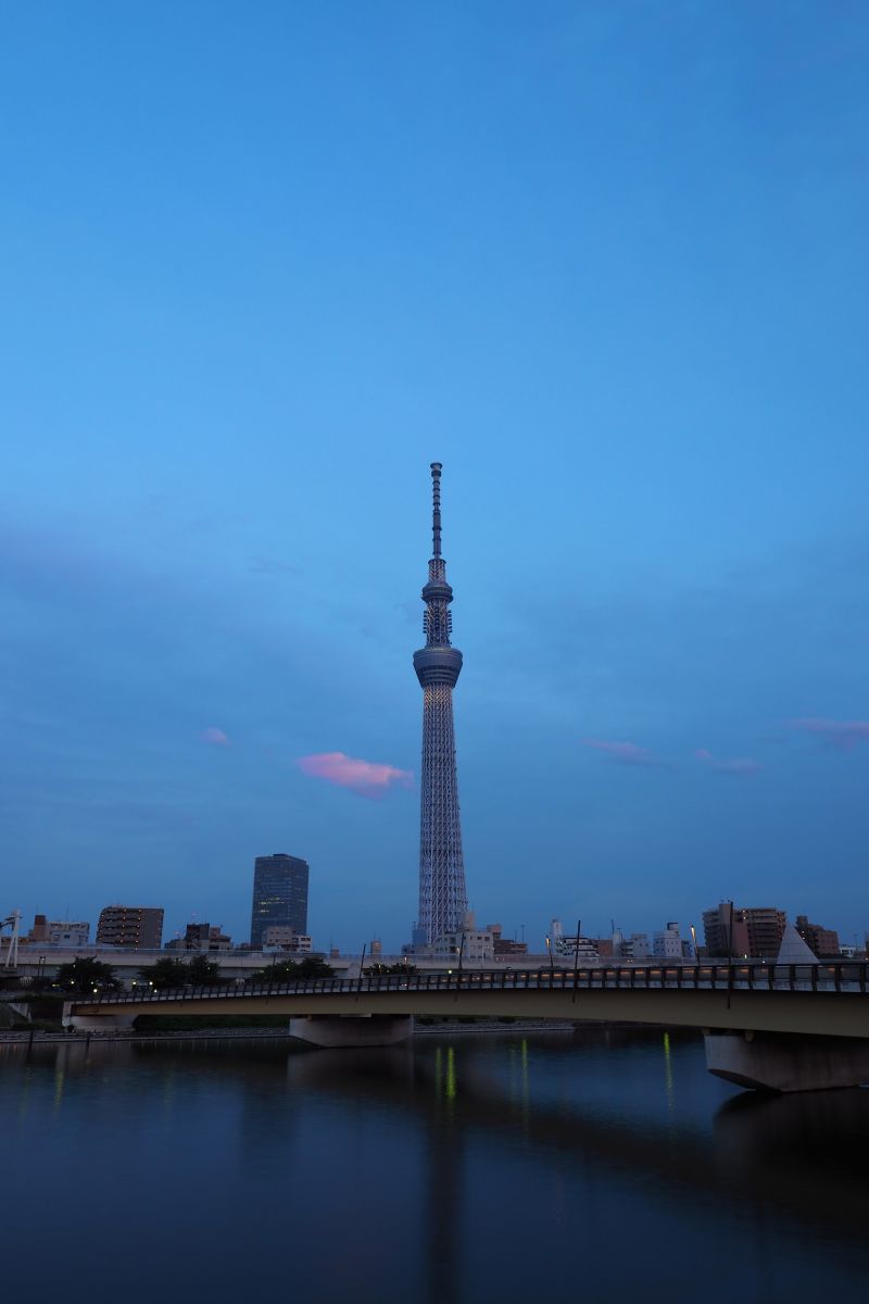 日本,シティ,都市景観,夜,建築,海
