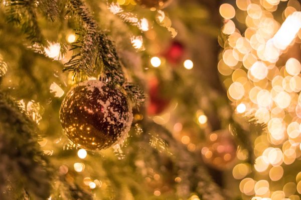 night, branch, Christmas Tree, Christmas, bokeh, sunlight