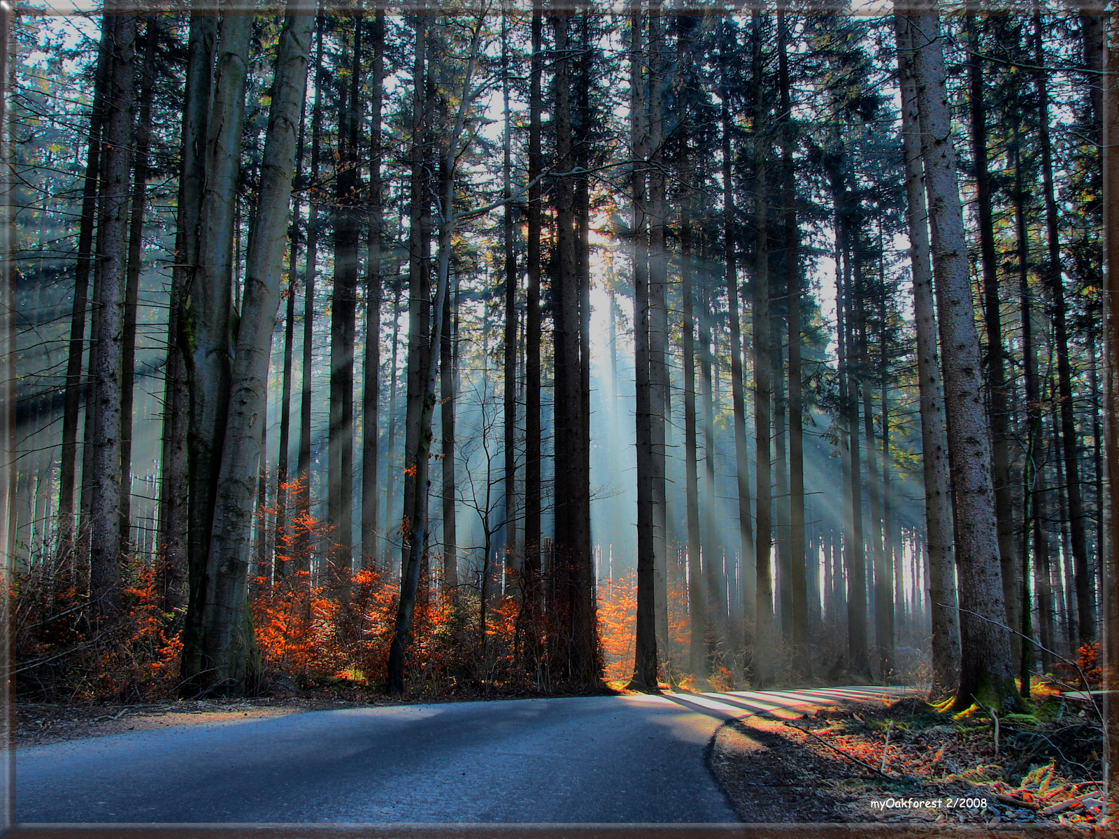 luz de sol, bosque, naturaleza, reflexión, invierno, la carretera, Mañana, Alemania, niebla, Sol, Baviera, árbol, otoño, niebla, hoja, planta, temporada, rayos de sol, Bayern, Abigfave, Hijo, Impresionada belleza, Una foto más, Foto de platino, Nebel, Sonnenstrahlen, bosque, habitat, entorno natural, Fenómeno atmosférico, Planta leñosa, ecosistema, Bosque de coníferas templado, Bioma, Dunst, caduco, Derstrahlenmeister