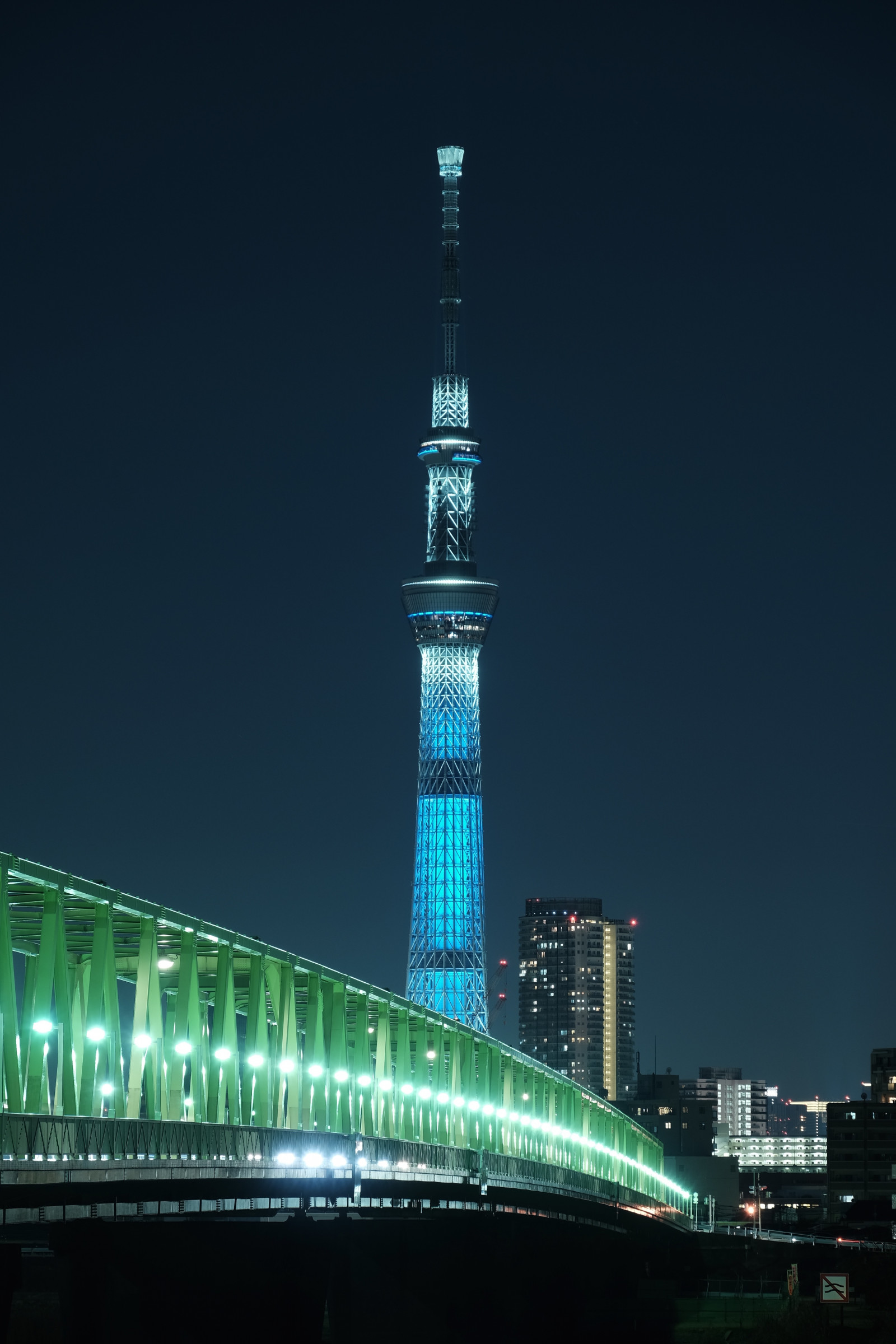 město, panoráma města, noc, nebe, panoráma, mrakodrap, věž, most, metropole, Tokio, Fujifilm, Skytree, strom, osvětlení, Fujinon, mezník, Tokyo Sky Tree, classicchrome, x, XT1, xf18135mmf3556rlmoiswr, xf18135mm, fuyuiki, Metropolitní oblast, lidské osídlení