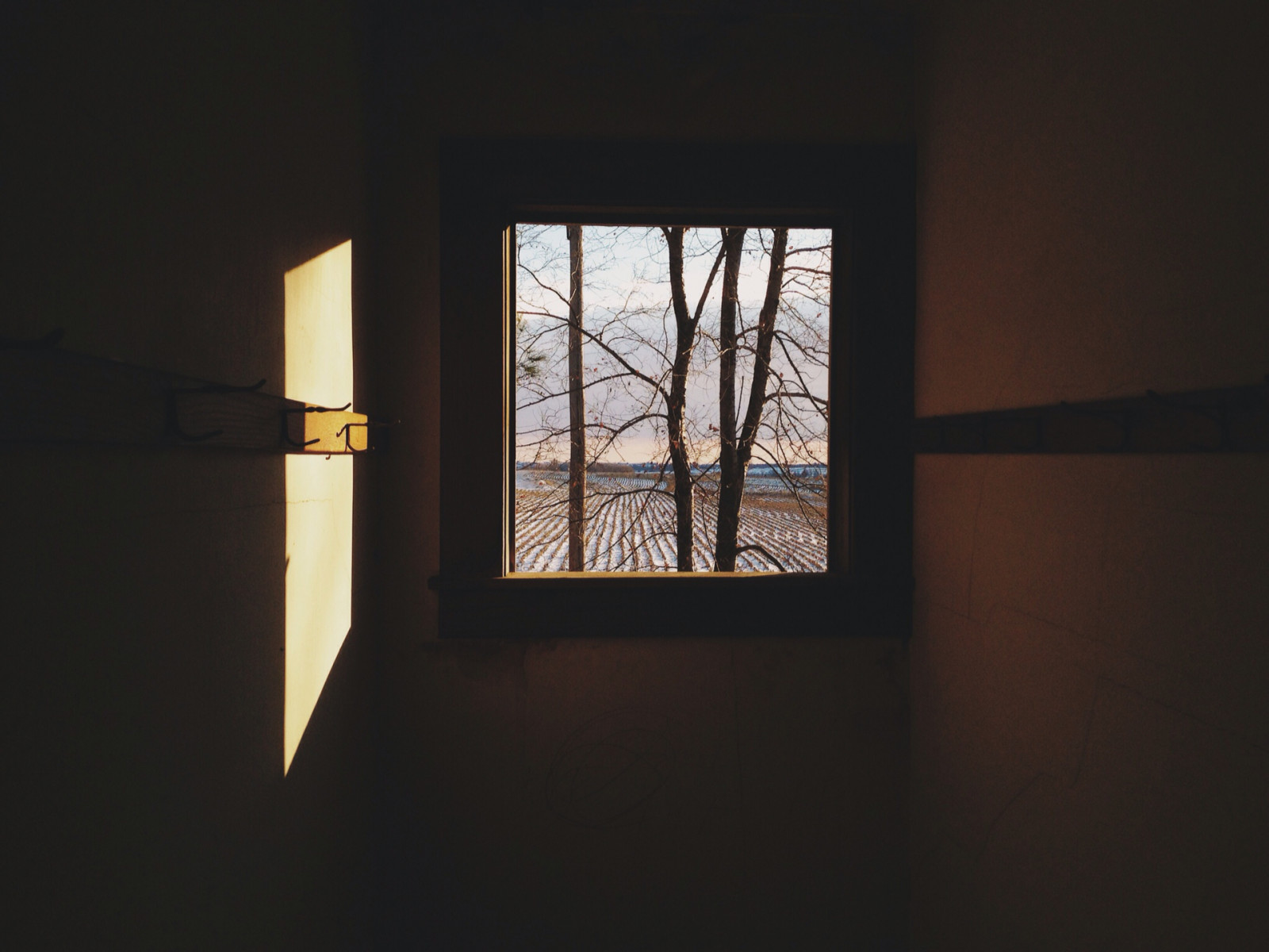 แสงแดด, ต้นไม้, หน้าต่าง, ถูกทอดทิ้ง, เงา, หิมะ, ฤดูหนาว, ฟิลด์, ไม้, สมมาตร, กระจก, คริสต์มาส, iPhone, การออกแบบตกแต่งภายใน, ตอนบ่าย, 2013, ไอโอวา, เบา, แสง, ธันวาคม, สาขา, มือถือ, เพดาน, ความมืด, iphone4s, vscocam, essex, daylighting, ร้าง, บิงแฮม, pagecounty