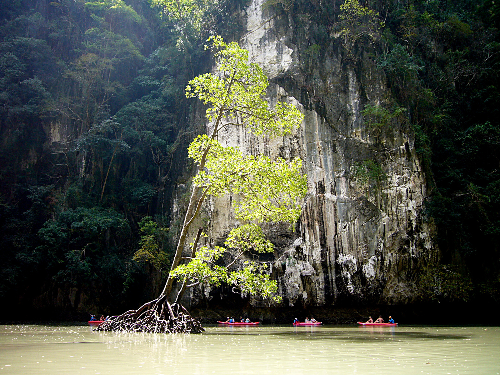 oceán, výlet, cestovat, modrý, stromy, světlo, Červené, moře, dovolená, lidé, Dovolená, strom, zelená, mokrý, voda, Krásná, Báječné, Thajsko, lodě, Osoba, fotografování, světla, loď, fotografie, dovolená, Asie, Jihovýchodní Asie, pokoje, kajak, místo, fotky, pokoj, místnost, Radost, Indický oceán, místa, řádek, skály, kánoe, hong, skrytý, jeskyně, palmy, cesta, Zkusenosti, veslování, jeskyně, osoby, cestování, phuket, kras, úzký, vegitation, krabi, treeroots, andamansea, cestovatel, Phangnga, karsts, Překrásná místa, phangngabay, hiddengems, limestonecliffs, thehongs, mustseeplaces