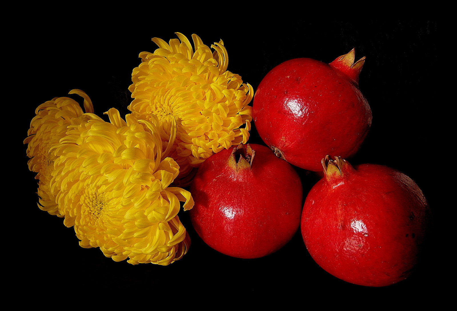 květiny, světlo, Červené, portrét, rostliny, barva, trouchnivění, Příroda, květinový, barvy, žlutý, Báječné, Německo, zahrada, zábava, deutschland, licht, fotografie, barvitý, flickr, Photographie, Frankfurt, natur, granátové jablko, blumen, květy, vícebarevný, colori, chryzantéma, Farben, Chrysanthemen, Granatapfel, colliefan, beautiflower