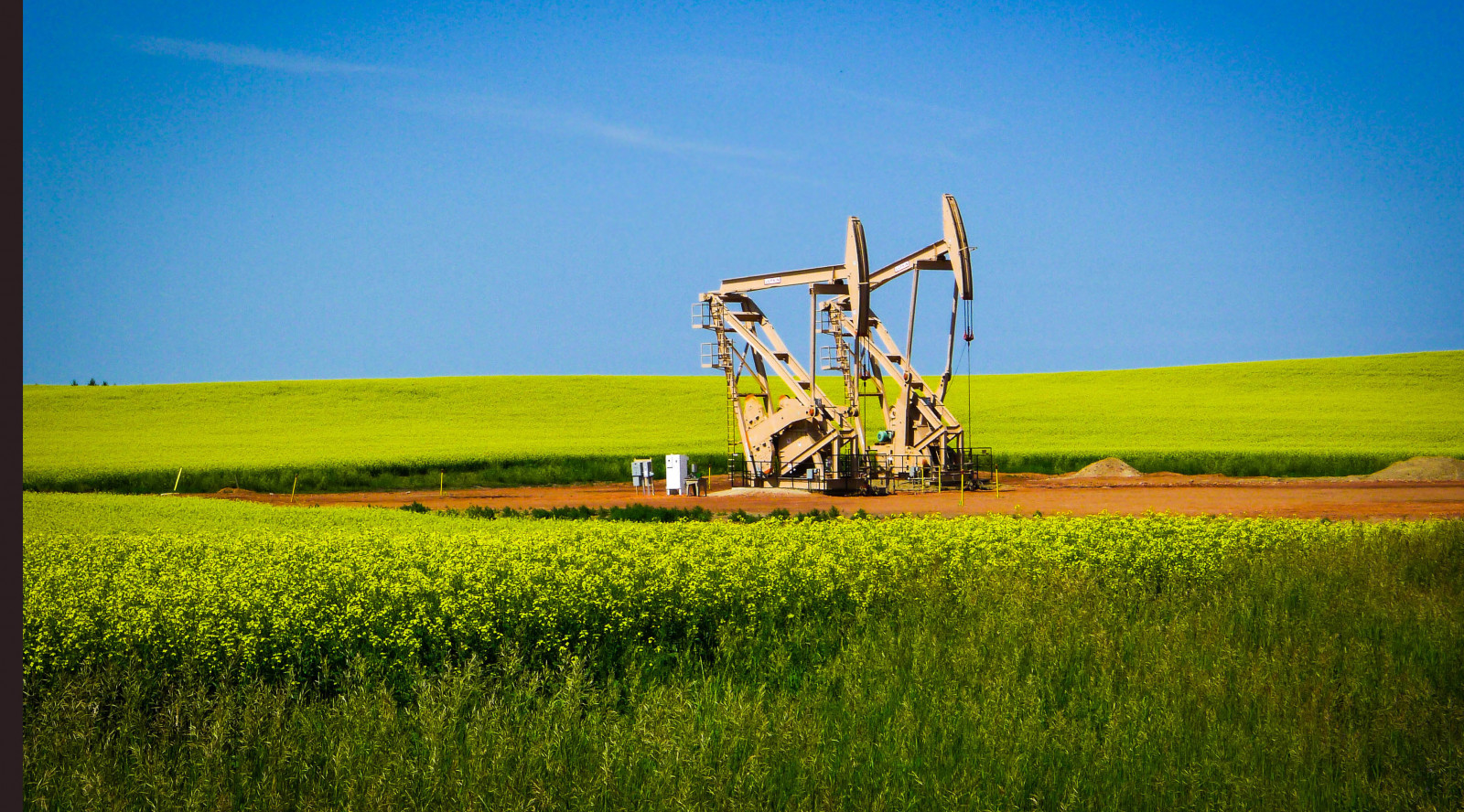 krajina, tráva, nebe, pole, žlutý, hospodařit, řepkového, strom, sklizeň, lučina, rostlina, pastvina, řepka, zemědělství, louka, plantáž, prostý, energie, prérie, oříznutí, Severní Dakota, venkov, vyrobit, tráva rodina, brassica, hořčice závod, hořčice a zelí rodina, neloupané pole, Bakkan, Olejové čerpadlo
