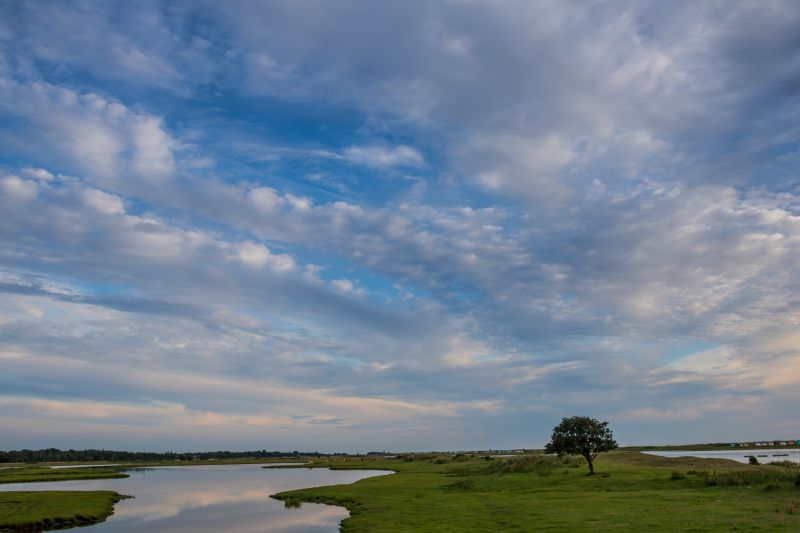 阳光,景观,日落,海,性质,支撑