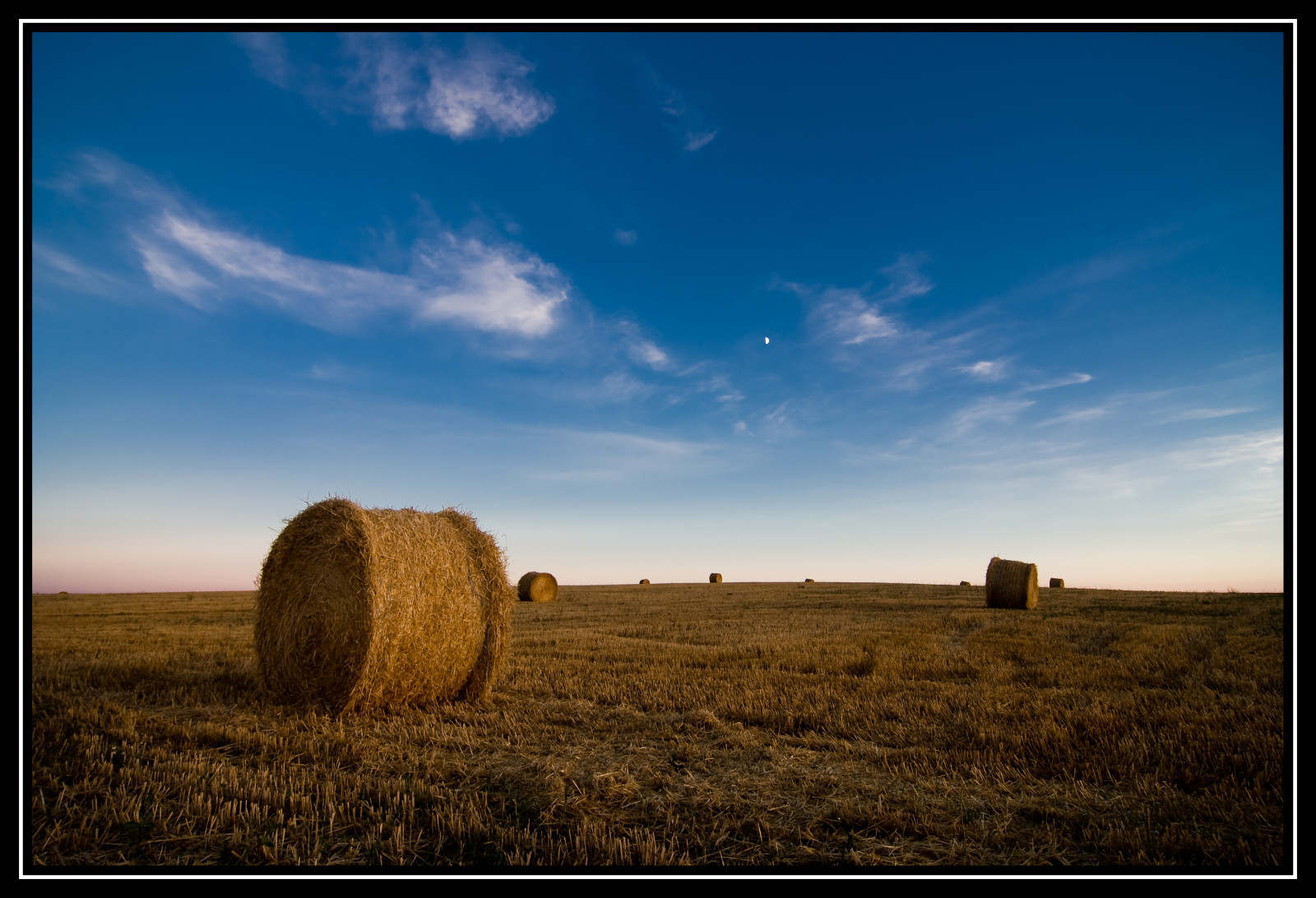 krajina, západ slunce, tráva, nebe, pole, ráno, Kánon, Španělsko, horizont, seno, obilnina, Leon, step, 2008, Verano, mrak, lučina, atardecer, alpaka, zemědělství, louka, prostý, anawesomeshot, abigfave, 1001nights, flickrestrellas, mywinners, aplusphoto, colourartaward, 400D, Snímek obrazovky, artlegacy, damniwishidtakenthat, Tokina, lesamisdupetitprince, prérie, ilovemypics, oříznutí, qualitypixels, půda, 1224, espana, venkov, ekosystém, tráva rodina, savana, agosto, Paca, Sahagun